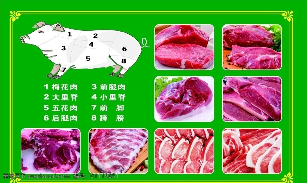 猪肉 肉 猪肉图解 鲜猪肉 猪肉大全