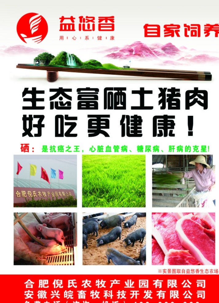 生态 富 硒 土 猪肉 绿色 富硒 土猪肉 环保 单页 红色 dm宣传单
