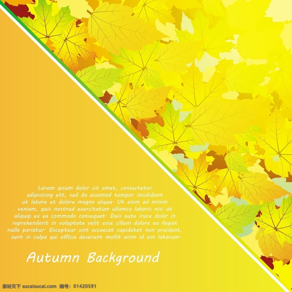 秋天 树叶 背景图片 背景 底纹 枫叶 花边 花纹 金色 叶子 矢量 矢量图 花纹花边