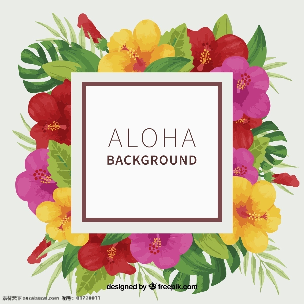 aloha 背景 热带 水彩 花卉 夏季 花卉背景 水彩花卉 水彩背景 树叶 夏威夷 季节 热带花卉 背景花卉 异国情调