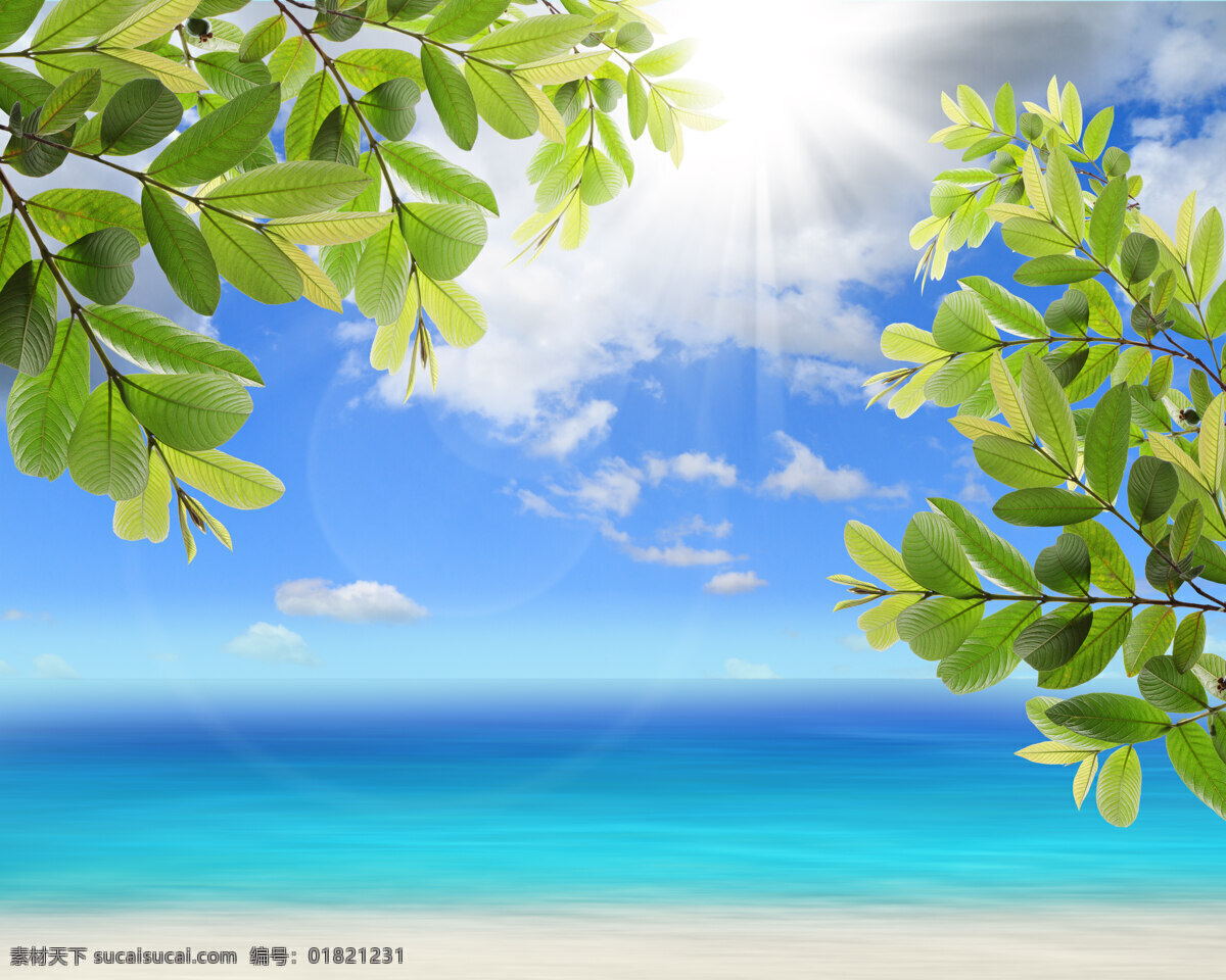 海 蓝色 天空 中 云
