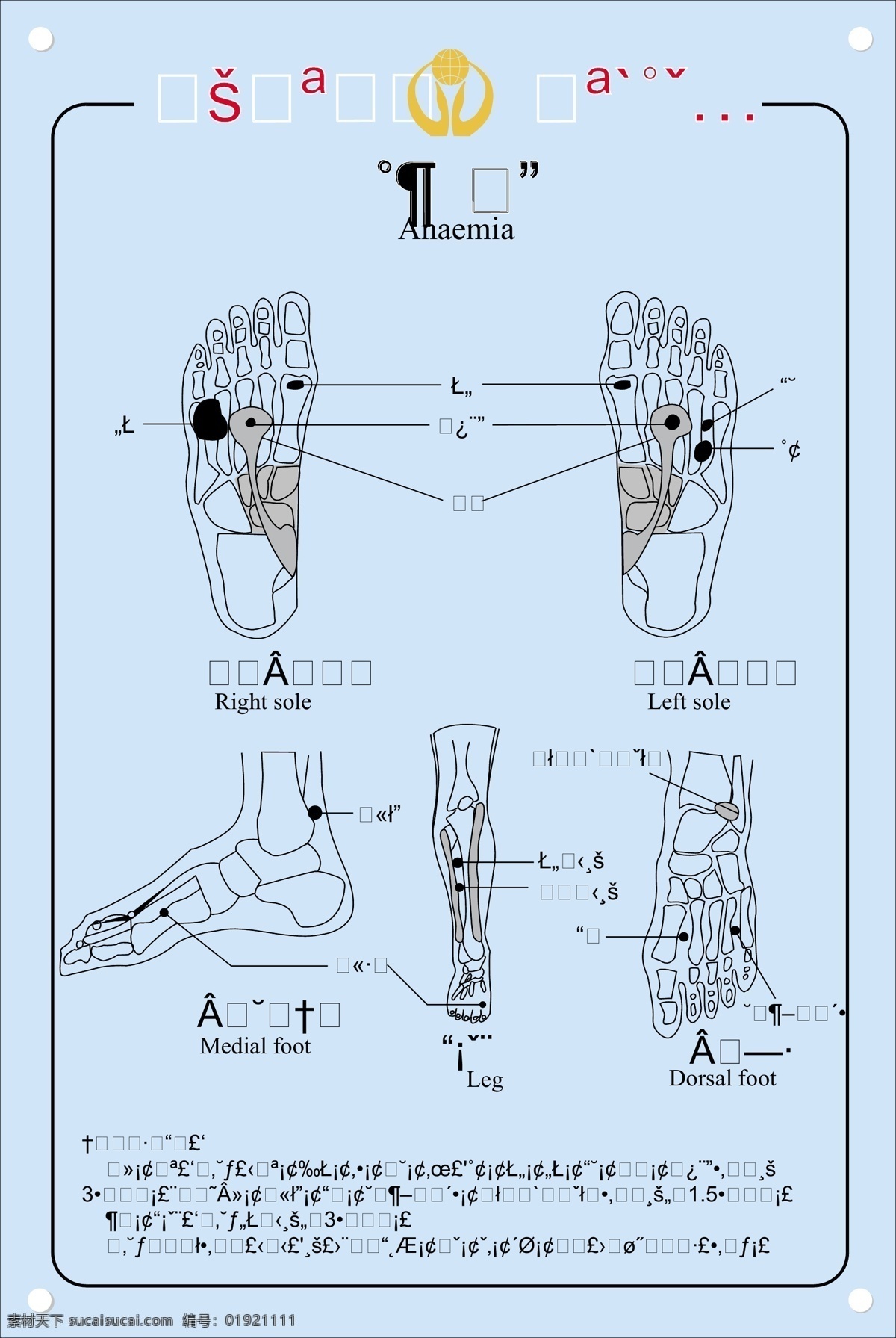 养 足 堂 足疗 示意图 展板模板 养足 堂足疗 贫血 矢量 其他展板设计