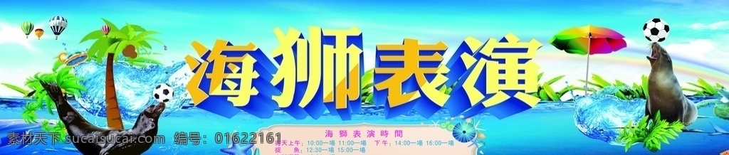 海狮表演 海狮 海豚表演 杂技表演 表演 海洋生物游戏