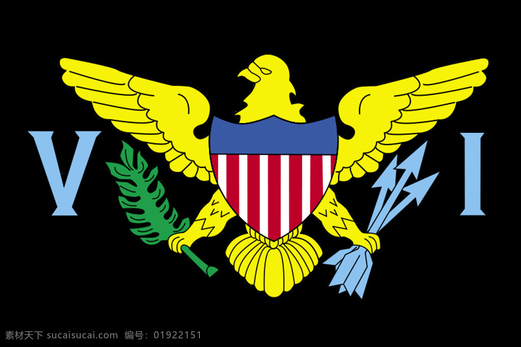 美国 维尔京群岛 国旗 标志 符号 北美国 插画集