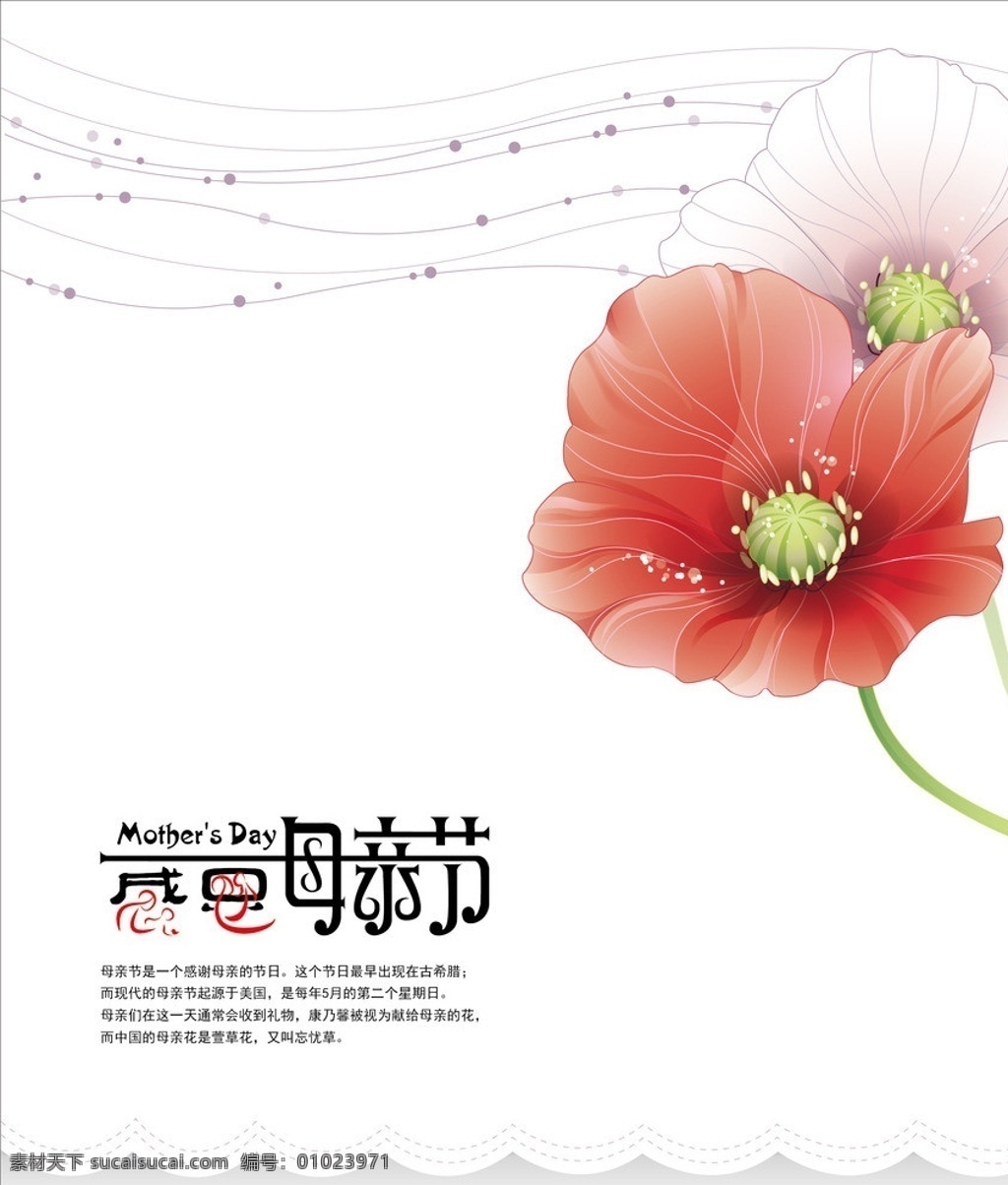 感恩母亲 感恩 母亲节 母亲节快乐 妈妈我爱您 康乃馨 节日素材 矢量