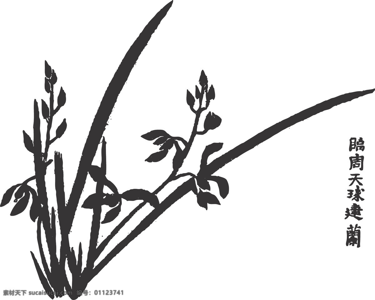 兰花 植物 花卉 观赏 线条 矢量 装饰 插画 白描 质朴文静 淡雅高洁 花卉白描图 生物世界 花草