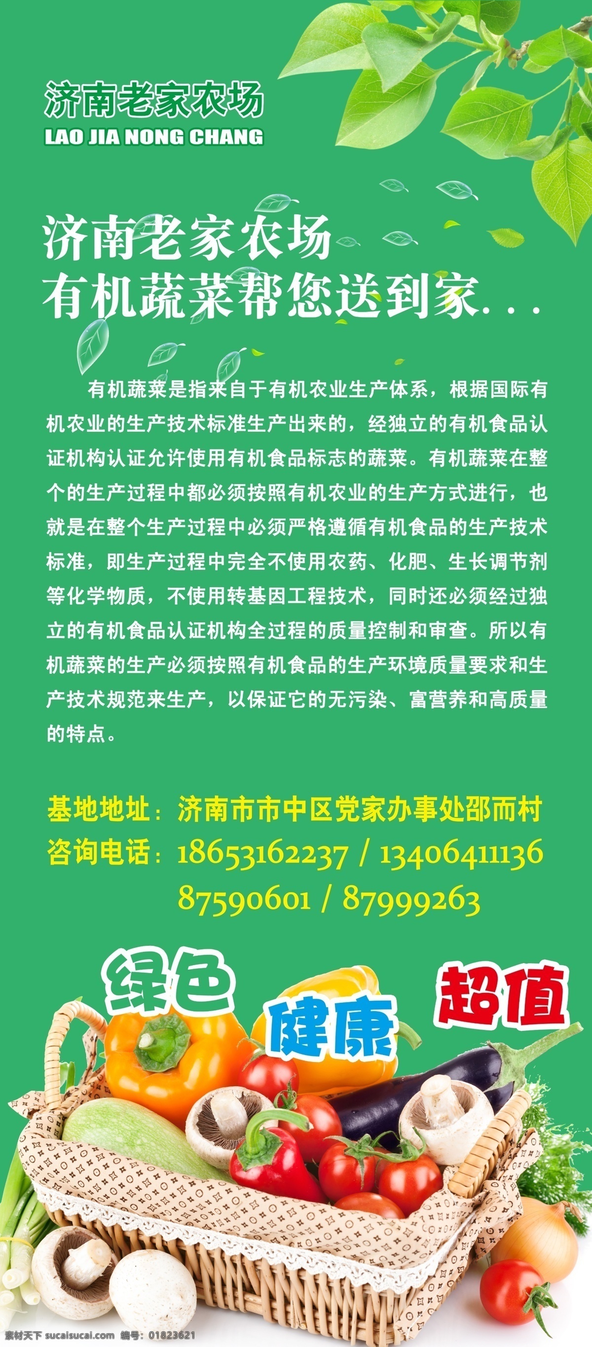 有机 蔬菜 x 展架 x展架 有机蔬菜 老家农场 帮 送到 家 绿色 健康 超值 树叶 菜篮子 黄瓜 番茄 大蒜 辣椒 蘑菇 土豆 茄子 展板模板 广告设计模板 源文件