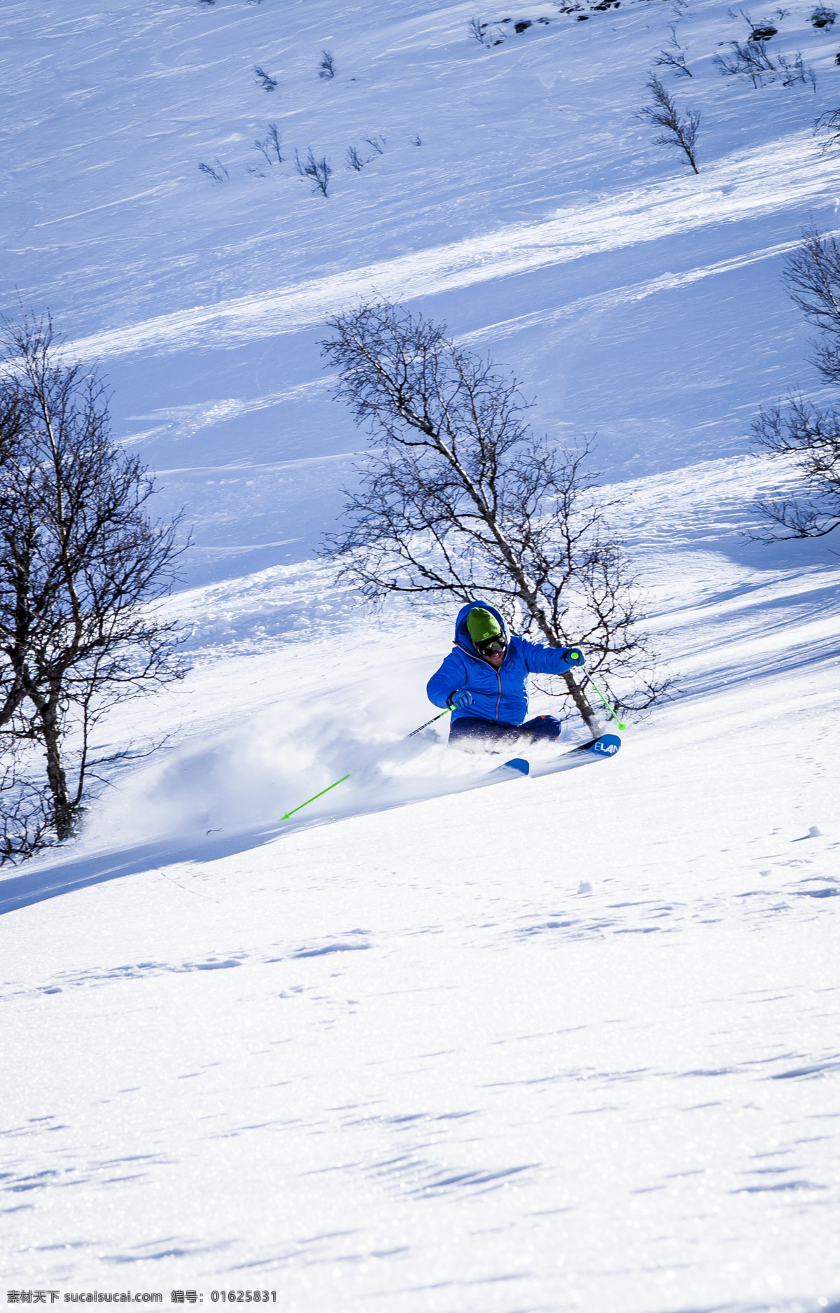 滑雪运动 滑雪 冬季滑雪 速滑 雪场 滑雪场 体育活动 文化艺术 体育运动