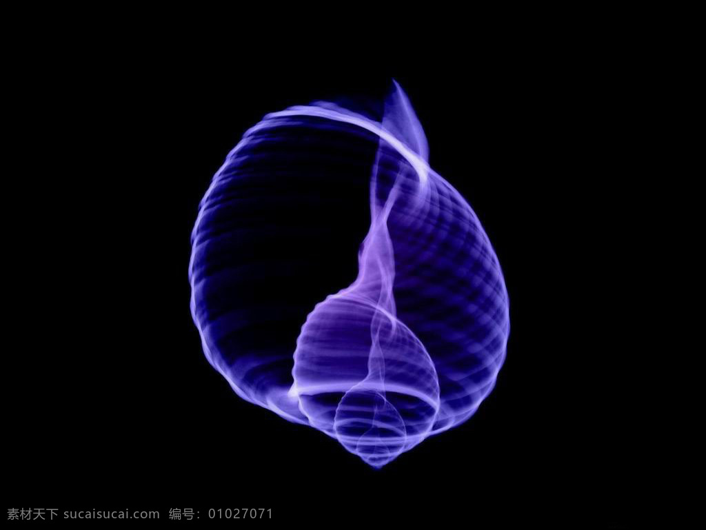 蓝色 贝壳 透视图 效果图 唯美贝壳 视觉冲击图 创意透视图 植物透视图 动物透视图