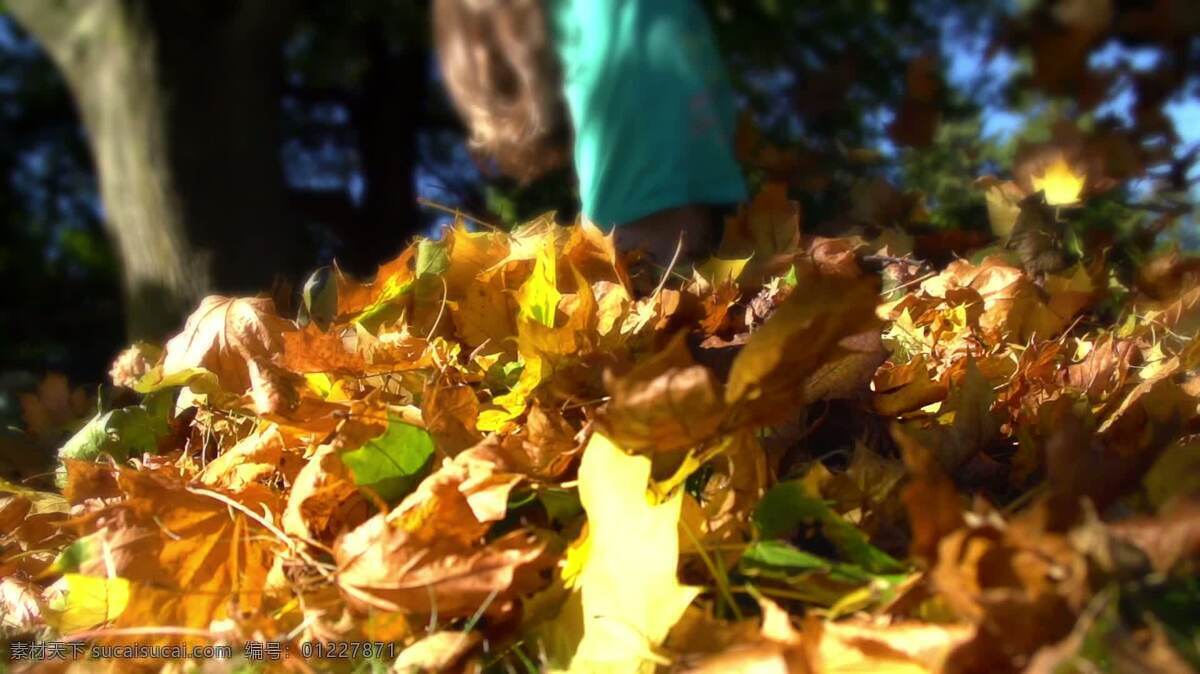 堆 树叶 中 跳 去 自然 人 慢动作 叶 落下 秋天 季节 季节性的 天气 院子 工作 庭院劳动 庭院 在户外 外部 户外的 耙 九月 十月 小孩 儿童 孩子们 年轻的 乐趣