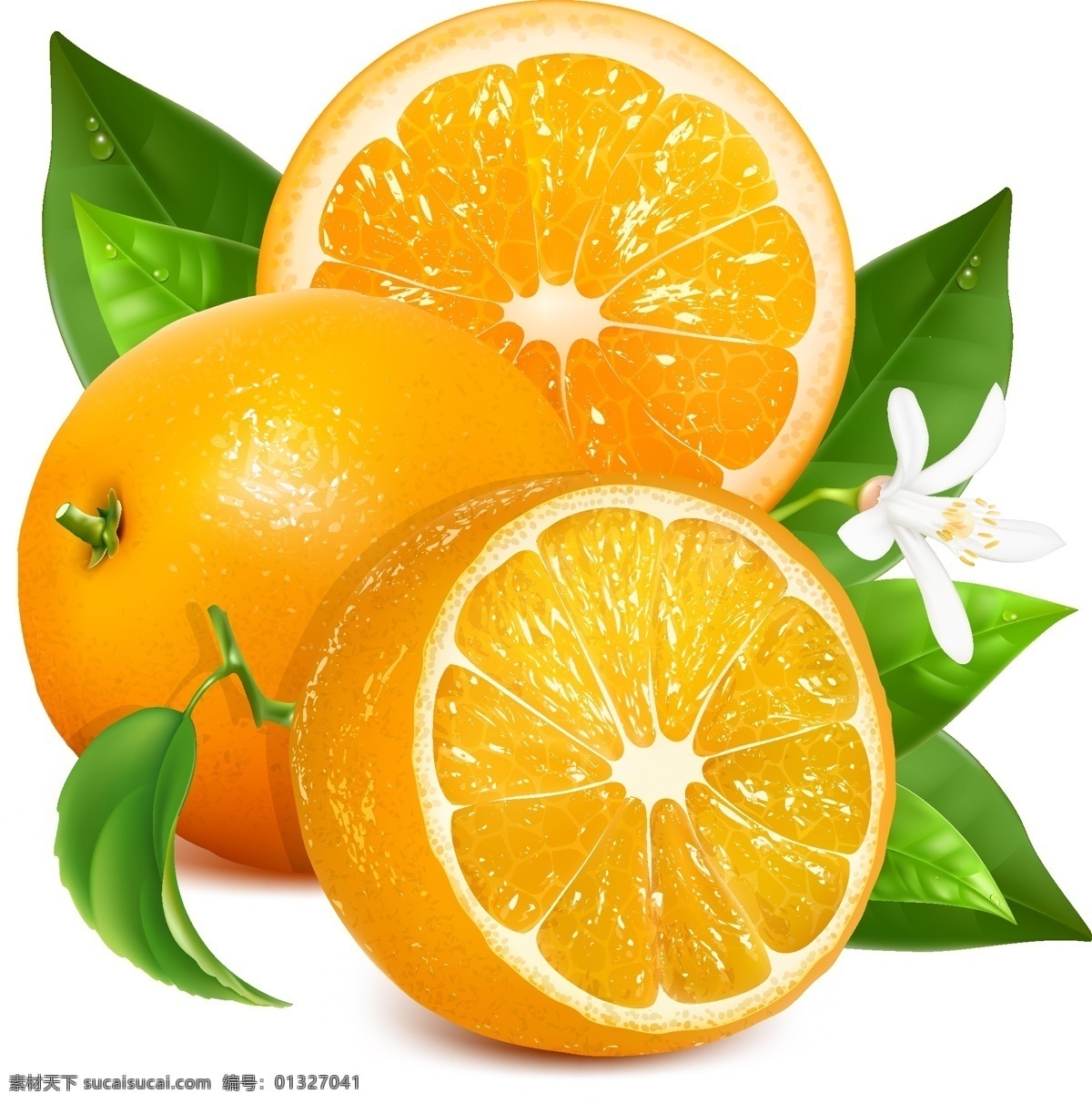 甜橙设计矢量 橙子 橘子 香橙 美味橙子 橙子背景素材 生活百科 餐饮美食