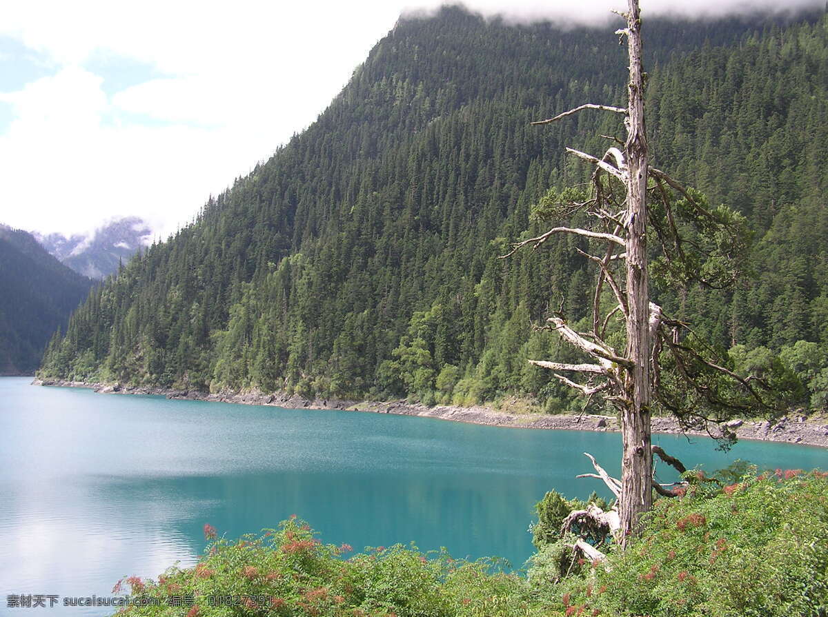 湖水 碧绿 山林 河流 树木 白云 山水风景 自然景观
