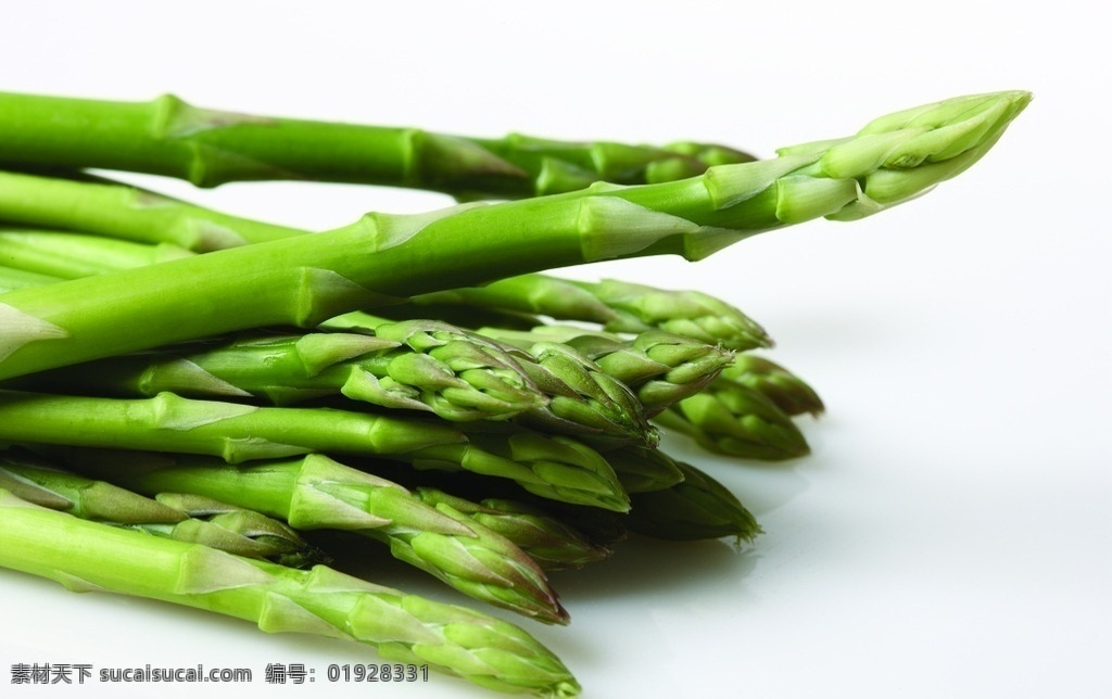 芦笋 高清芦笋 蔬菜 蔬菜大图 高清蔬菜 绿色蔬菜 生物世界