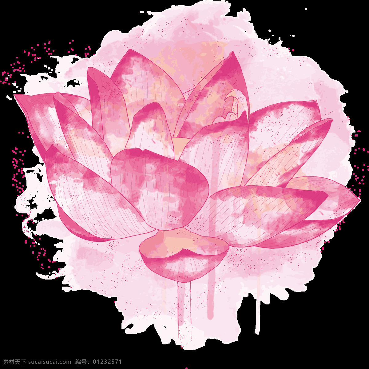 彩绘 粉色 莲花 元素 png元素 花卉 梦幻 免抠元素 透明元素