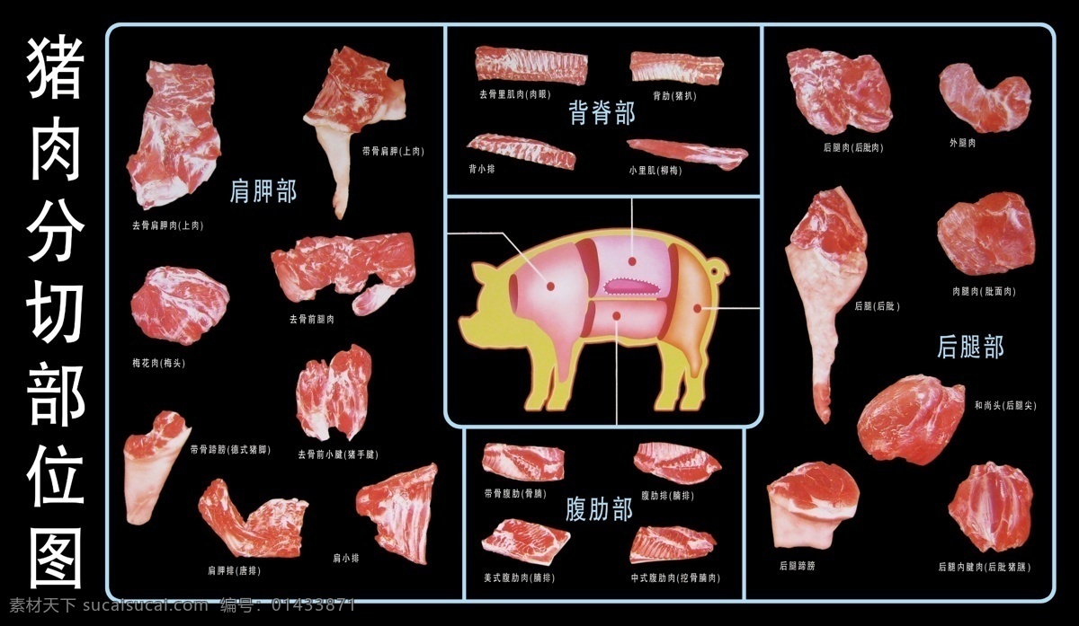猪肉分解图 猪肉 猪分解图 分层 源文件
