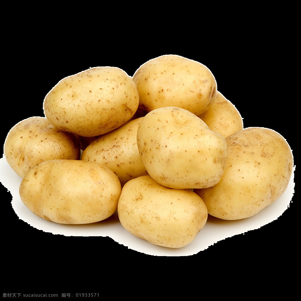 新土豆 新鲜土豆 马铃薯 土豆素材 土豆图片 北大青鸟 生物世界 蔬菜