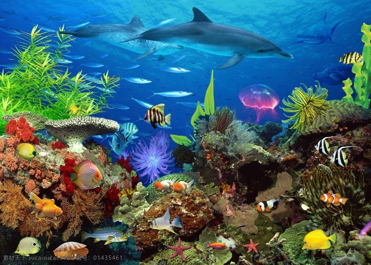 海底世界 海底 海底背景 新鲜鱼 鱼 海底鱼 虾 鱼缸 活鱼 热带鱼 水族馆 水族馆背景 观赏热带鱼 水族箱 水族箱背景 观赏鱼 淡水鱼 珊瑚 海星 贝壳 螃蟹 乌龟 鱼群 水母 珍珠等 分层 源文件