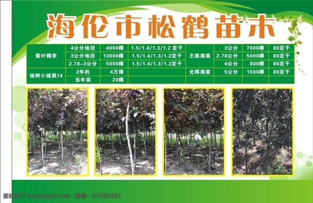 宣传彩页 企业简介 企业宣传 苗木 公司简介 会刊内页 传单 苗木彩页 画册内页 企业产品简介 产品展示 企业宣传图 企业会刊 喷绘布 企业展板 展板