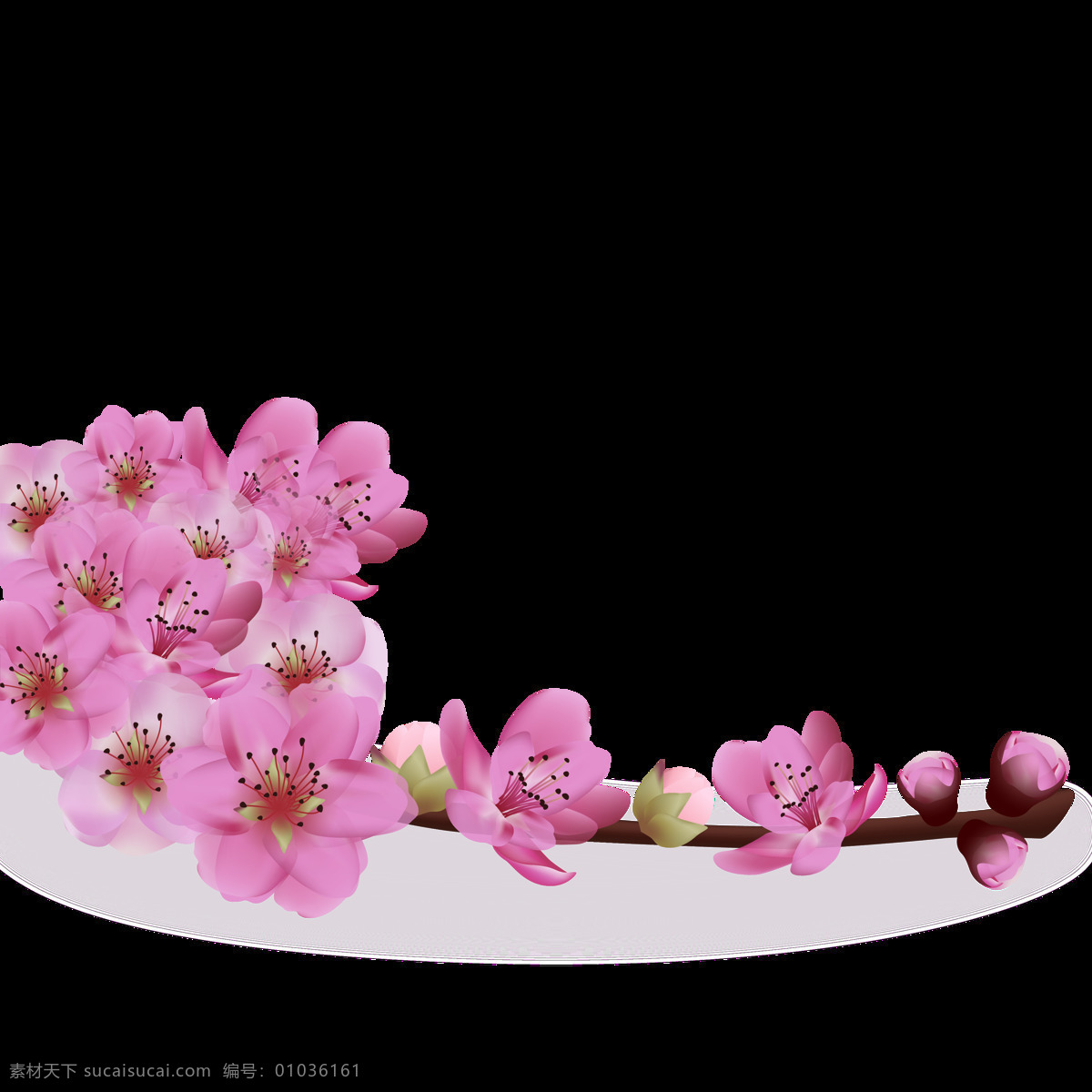清新 风格 花朵 樱花 装饰 元素 装饰元素 花苞 花草树木 生物世界 清新风格 浅色花朵 紫色花束 美丽的樱花 樱花盛开