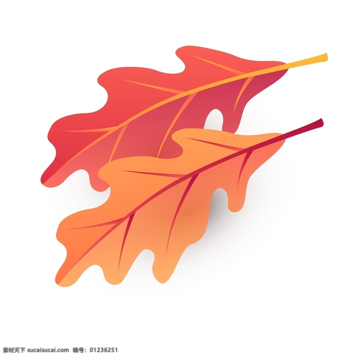 黄色 叶子 装饰 卡通 透明 植物 秋叶 秋天元素 枫叶 png免抠图 落叶元素