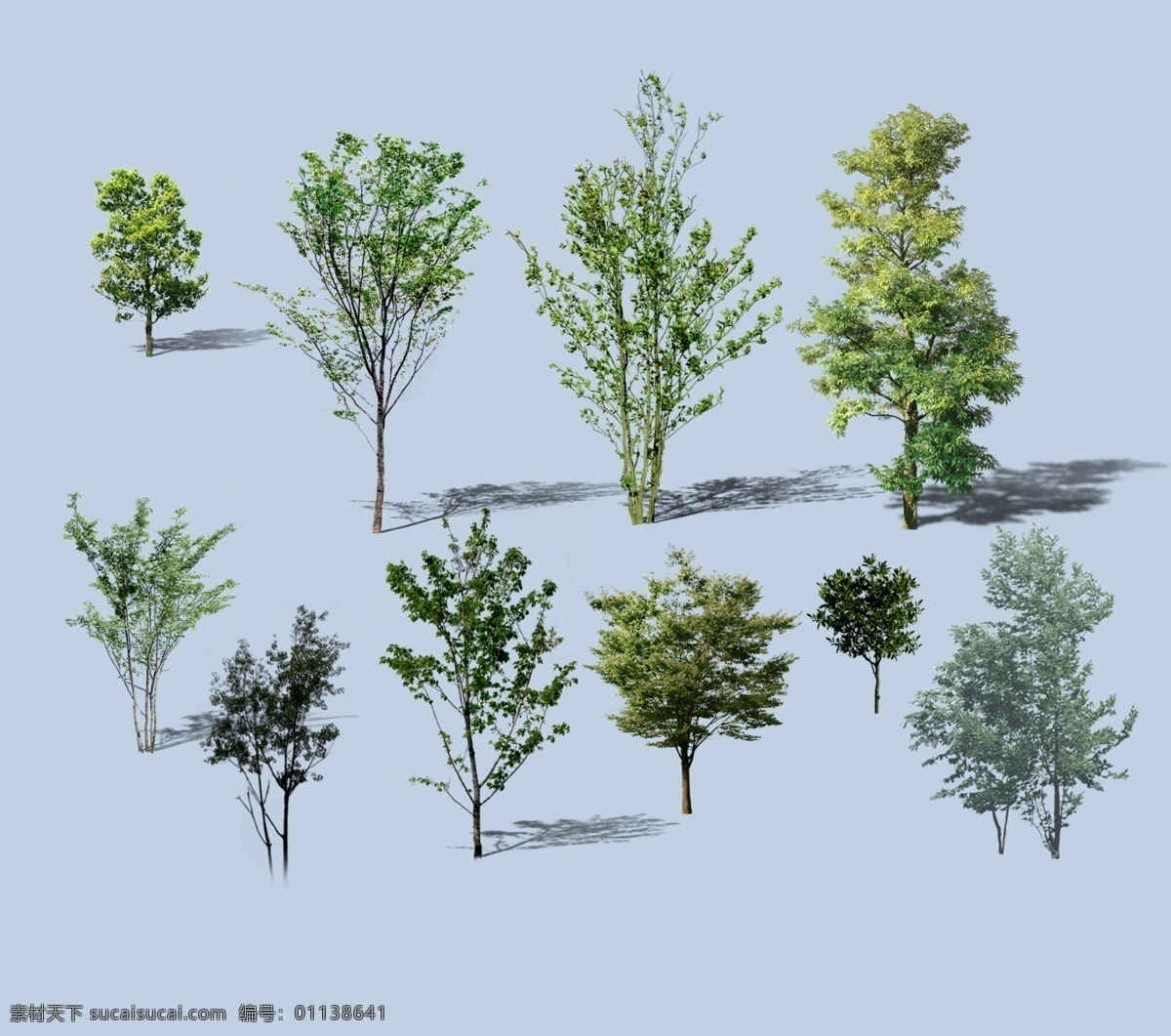 各种 树 植物 景观效果图 各种树 立面表现 透视图 后期素材 环境设计 景观设计