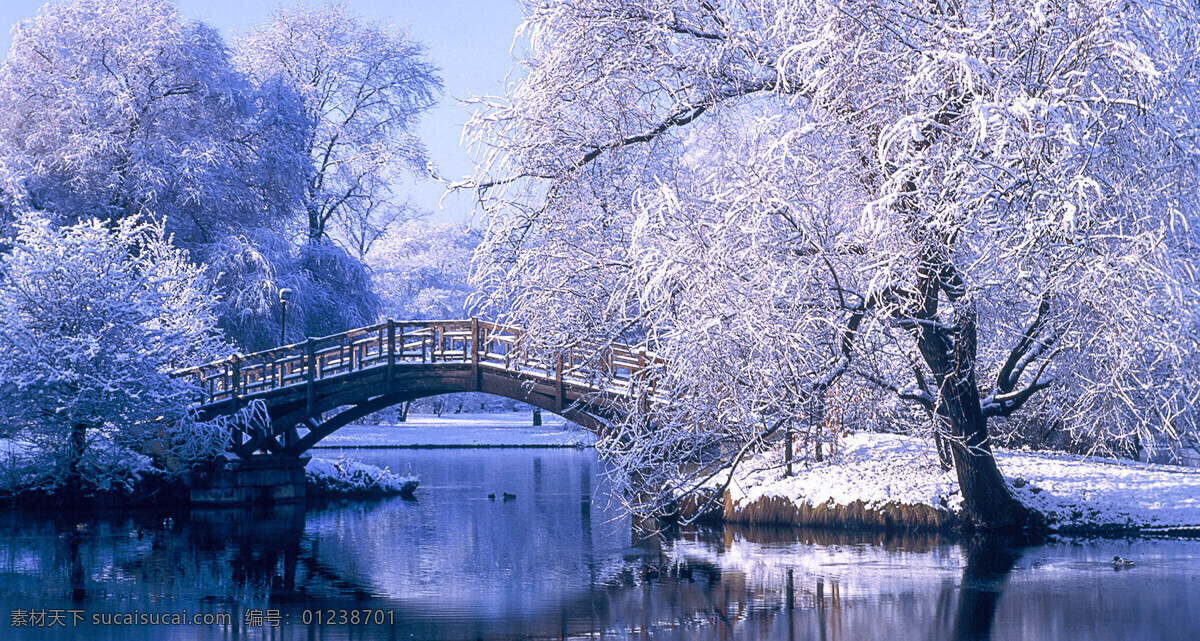 冬景 冰天雪地 自然美景 孤桥 白茫茫 旅游摄影 自然风景
