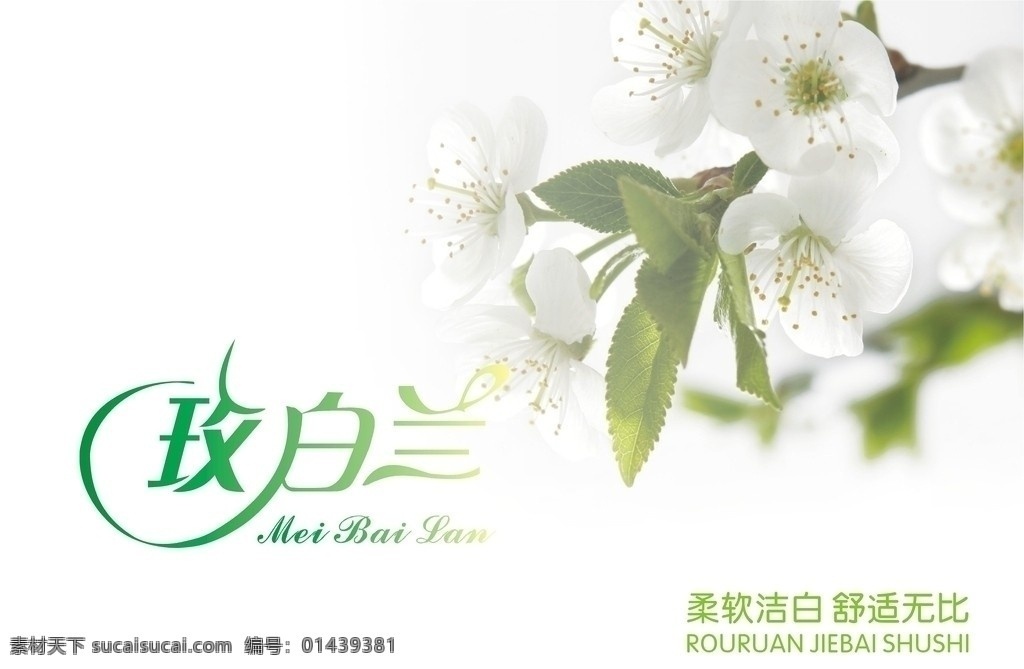 纸巾包装 纸巾 包装 卷纸 花朵 茶花 兰花 白色 纯洁 高贵 柔软 玫白兰 艺术字 意境 朦胧 高档 矢量 包装设计