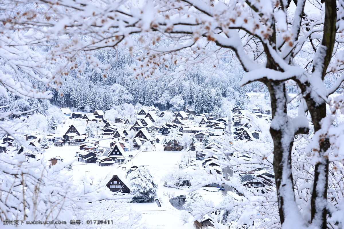 雪中的茅草房 雪景 草房 茅草 茅草房 雪 大雪 雪后 风景 自然景观 旅游摄影 初晴 日本 国外旅游