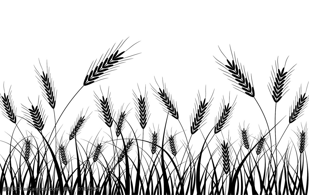 款 小麦 黑白 剪影 矢量 粮食 麦田 农作物 矢量图 植物矢量素材 小麦黑白剪影 其他矢量图