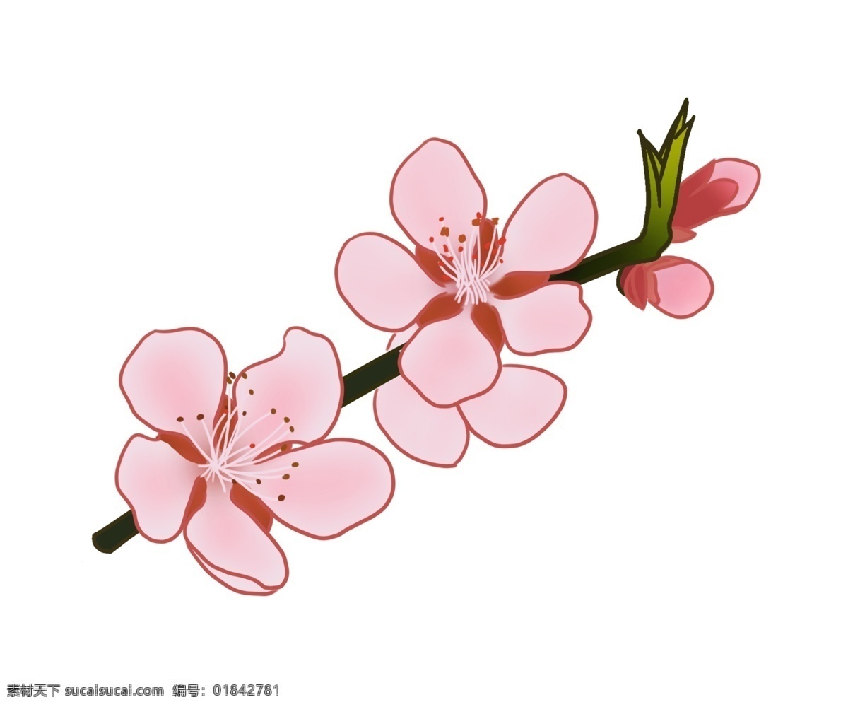 花枝 桃花 卡通 插画 装饰的桃花 卡通插画 桃花插画 桃花花枝 花朵 鲜花 花瓣 美丽的桃花