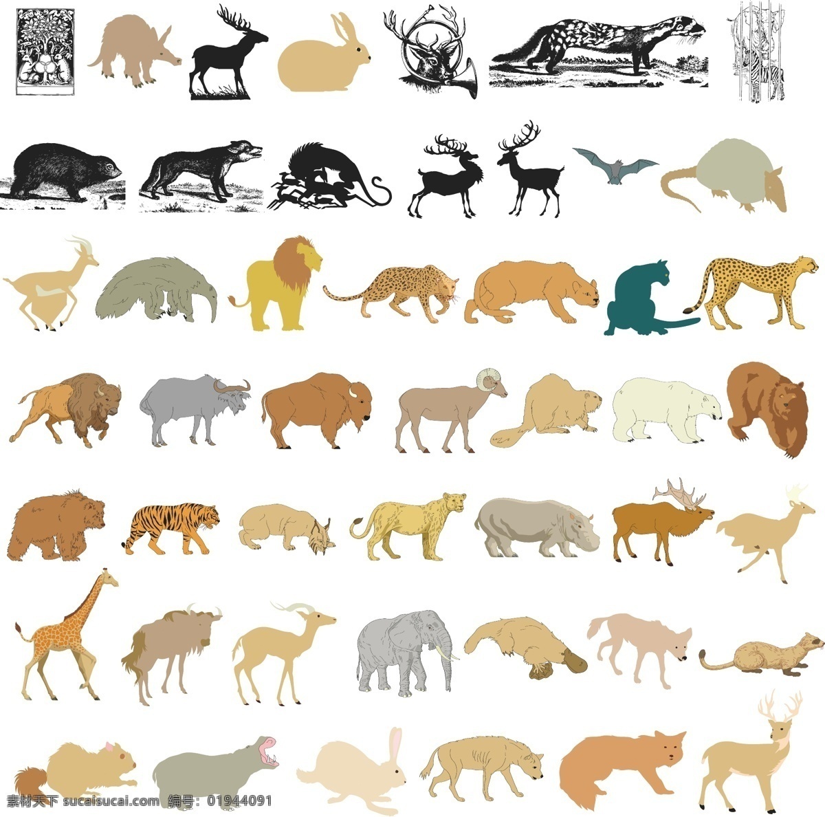 豹子 老虎 野生动物 大象 长颈鹿 食蚁兽 牦牛 狐狸 梅花鹿 动物图形元素 生物世界 矢量
