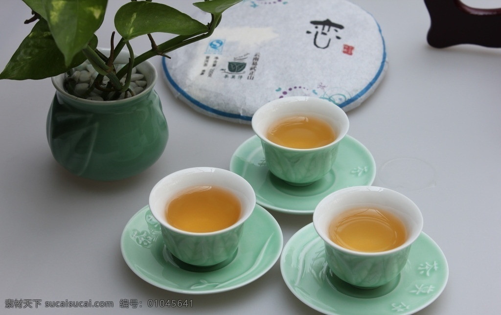 茶叶 普洱茶 泡茶 易武茶 茶汤 饮料酒水 餐饮美食