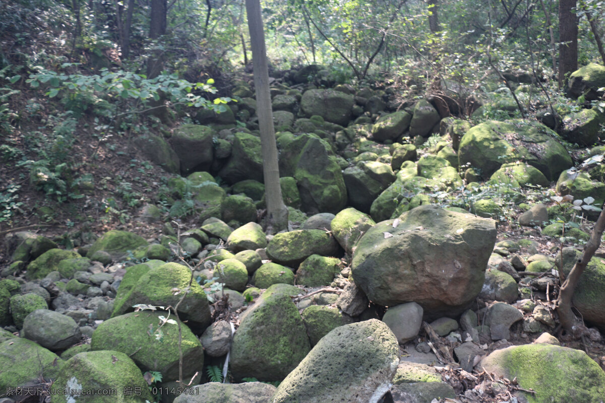 青苔留石 青苔 石头 铁山寺 绿色 自然 自然景观 自然风景 灰色