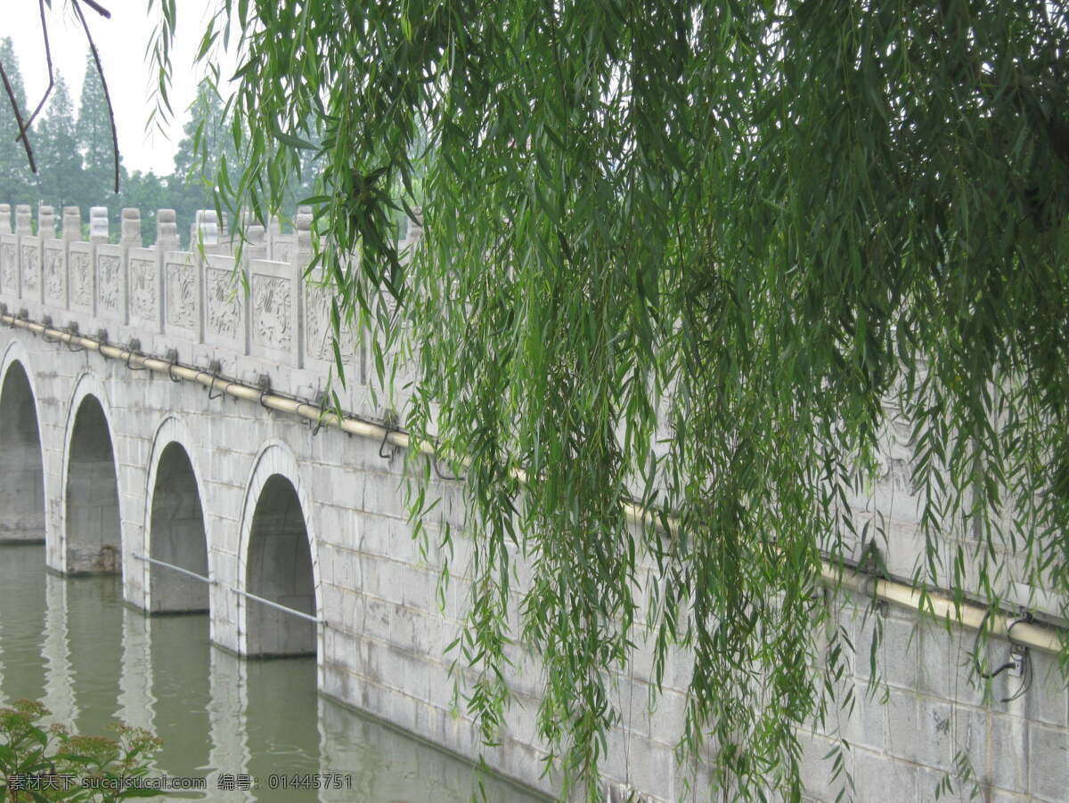 垂柳免费下载 垂柳 旅游 旅游风景 旅游景点 旅游摄影 石桥 逍遥津