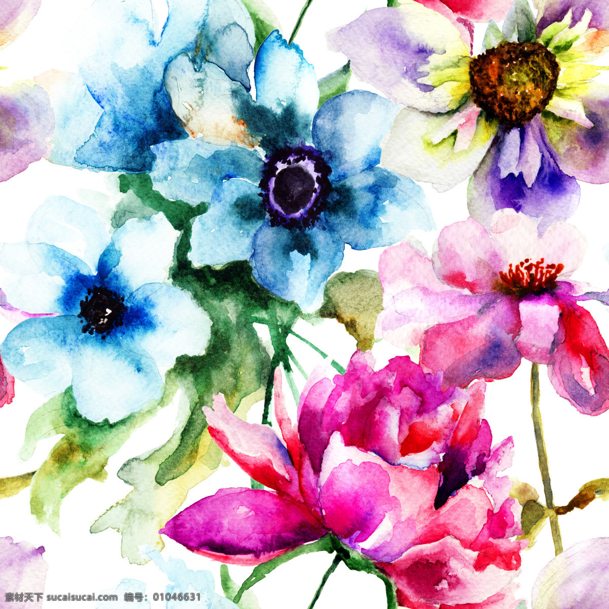 水彩 蓝色 粉色 花朵 水彩花朵 水粉花朵 水彩设计元素 花卉 漂亮花朵 鲜花 花草树木 生物世界