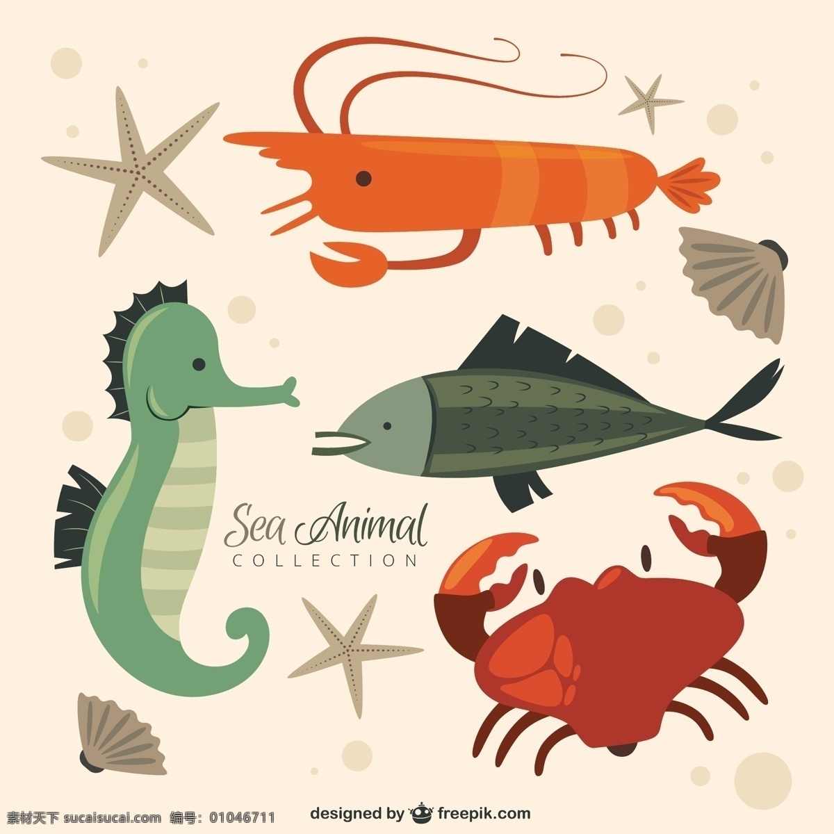 尼斯 海洋 动物 系列 自然 鱼类 可爱 有趣 贝壳 可爱的动物 螃蟹 野生动物 收藏 漂亮 对虾 海洋动物