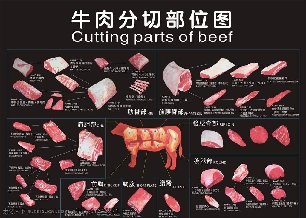 牛肉分割图 超市开业肉品 肉品 生鲜区 英文牛肉分割 超市用图