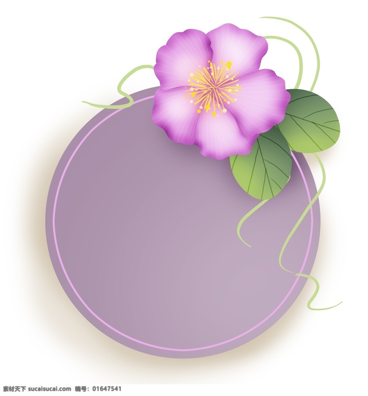 花朵 叶子 圆形 文字 框 花卉标题框 绿色 春季 紫色 淡紫色 植物 春天文字框 粉色 立体 春天对话框