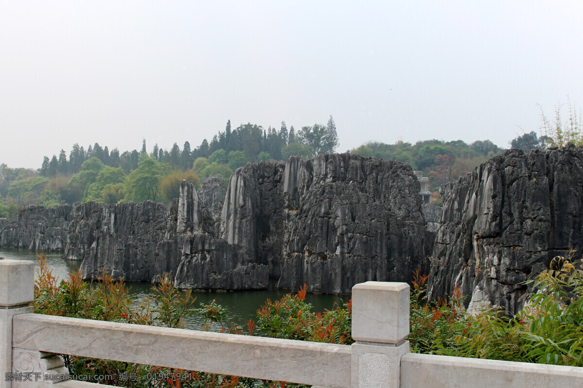 云南 石林 地质 公园 自然景观 自然风景 白色