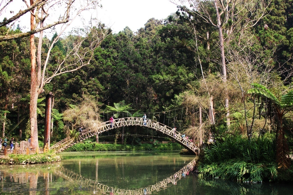 台湾 溪头 热门景点 大学池 风景 溪頭 旅游摄影 自然风景