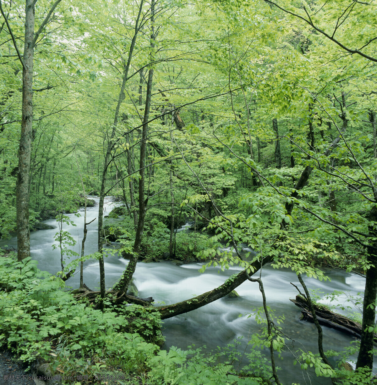 青山绿水 河流 景色 高山 青山 流水 瀑布 绿树 树木 树林 岩石 石头 青草 景观 自然景色 野生 旅游 高清图片 山水风景 风景图片