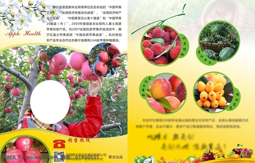 水果宣传单页 水果 宣传 单页 苹果 彩页 dm宣传单