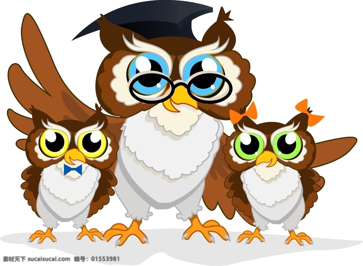 三 只 可爱 猫头鹰 插画 卡通 动物 眼镜 博士帽