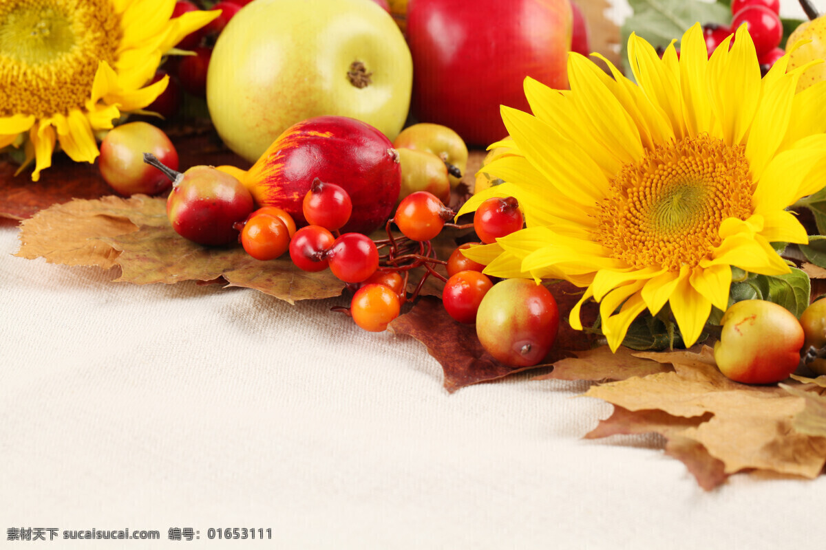 秋天 水果 秋收 秋季 苹果 向日葵 梨 杏 水果图片 餐饮美食