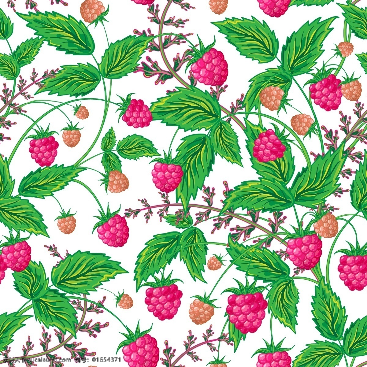 树莓背景 底纹 水果 树莓 背景 白色