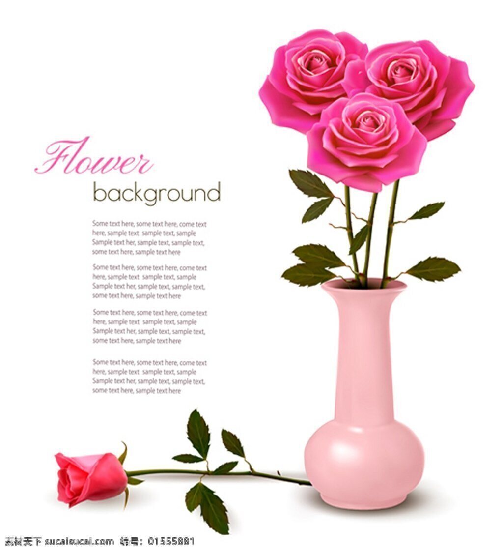 漂亮 玫瑰花 背景 图 广告背景 广告 背景素材 素材免费下载 粉色 鲜花 植物 花朵 浪漫