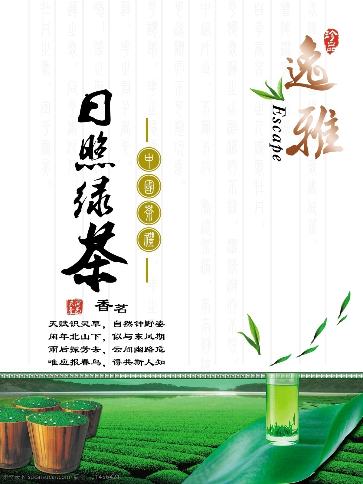 中低档绿茶 中档 绿茶 日照绿茶 绿芽 一筐茶 茶园 叶子 茶杯 中国国礼 嫩芽 300分辨率 茶叶包装 包装设计