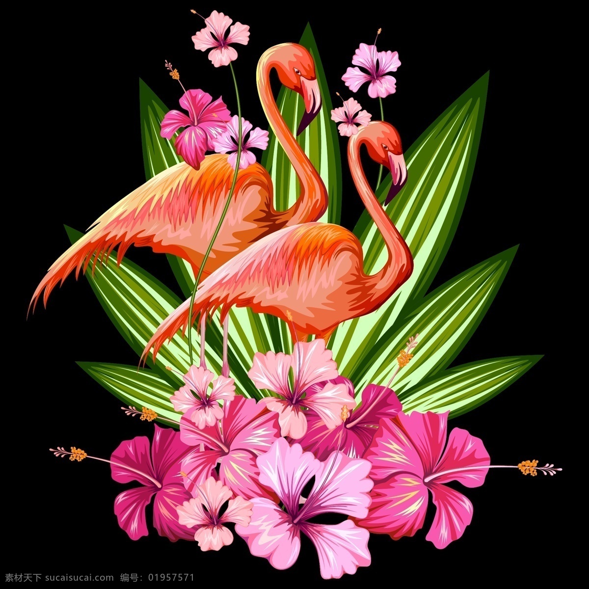 艳丽 花朵 仙鹤 插画 植物 热带 叶子 动物 花卉