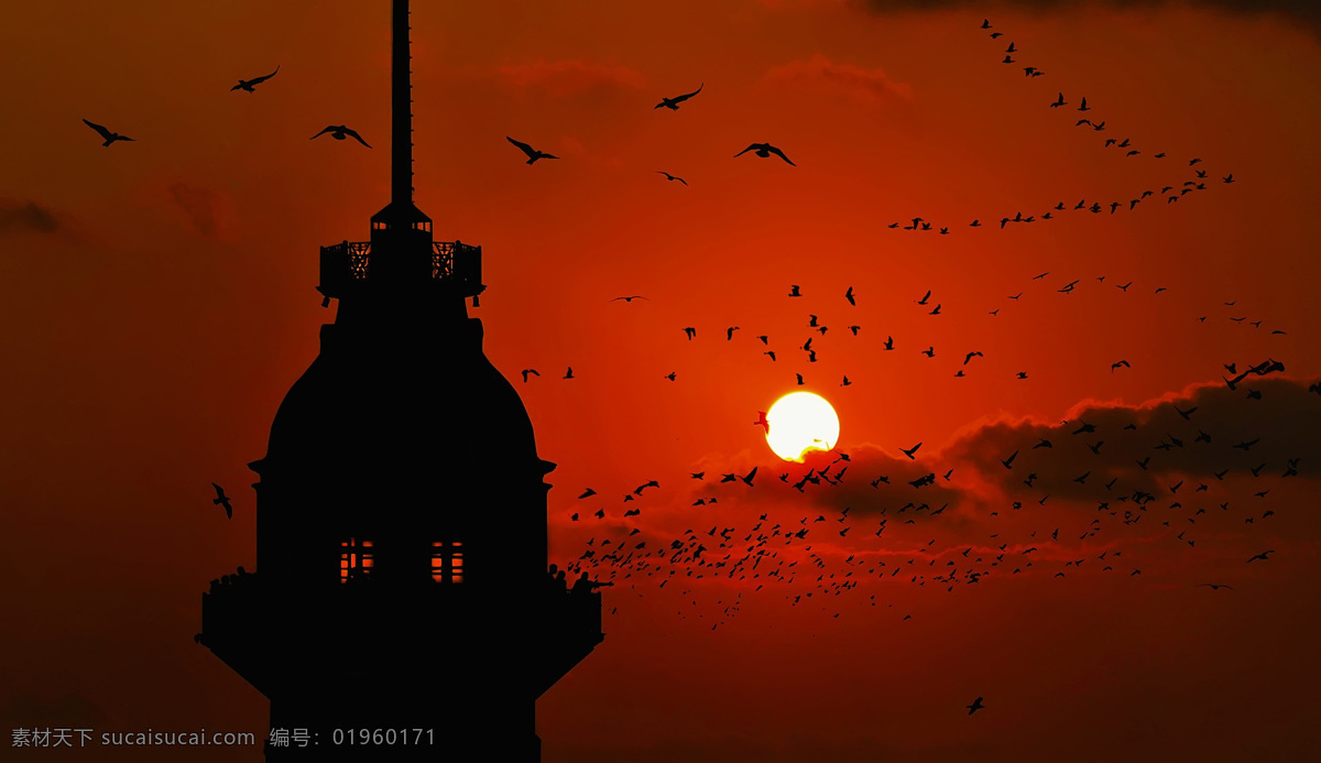 黄昏 伊斯坦布尔 景色 飞鸟 鸟群 城市风景 土耳其风光 美丽风景 风景摄影 美丽景色 美景 自然风光 自然风景 自然景观 红色