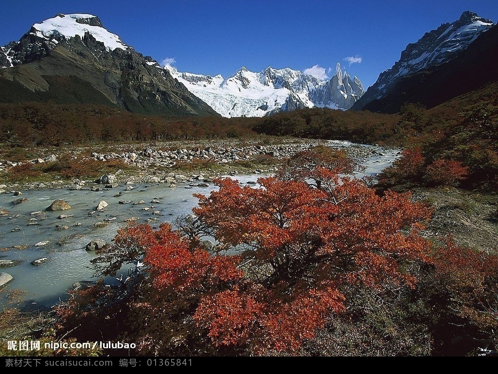 阿根廷 洛斯 格拉 希 亚雷斯 冰川 国家 公园 旅游摄影 国外旅游 世界各地 自然风景 摄影图库